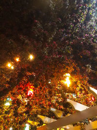 illuminated