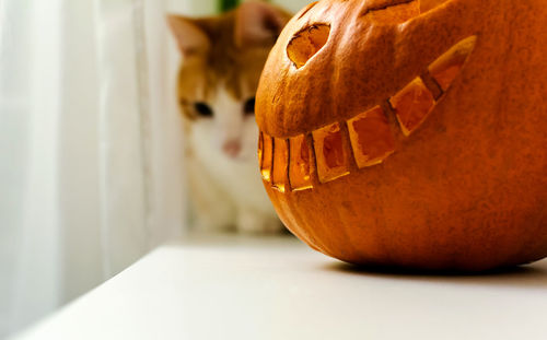 Close-up of pumpkin on table