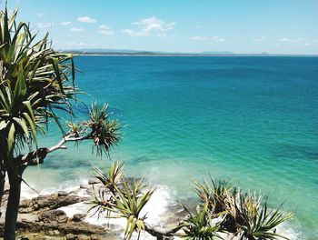 Scenic view of sea against blue sky