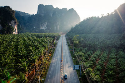 Panoramic view of landscape