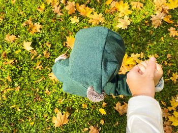 Low section of child on grassy field