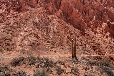 Scenic view of desert land