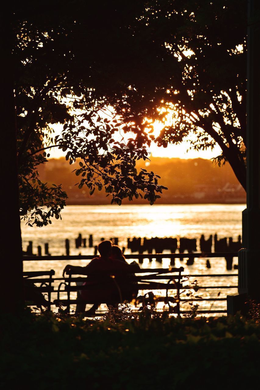 SILHOUETTE PEOPLE SITTING ON BENCH BY TREE AGAINST SKY