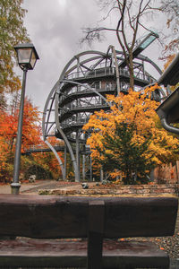 Trees and street in park during autumn