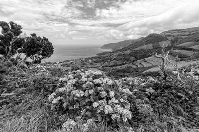 Scenic view of sea against sky