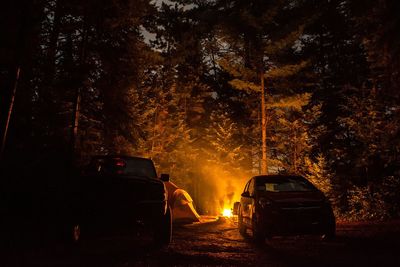 Car in forest at night