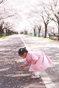 Girl picking up petals while standing on street