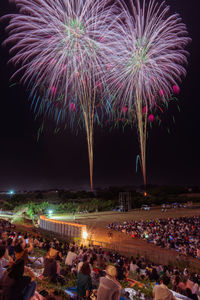 Firework display at night