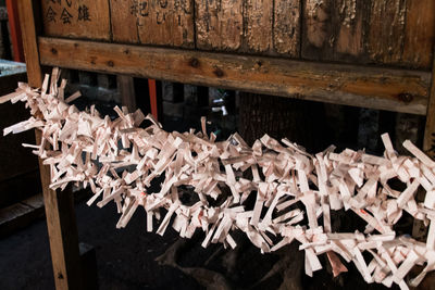 Close-up of wooden plank