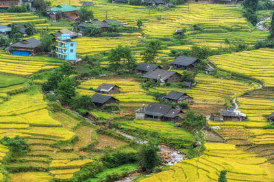 agriculture