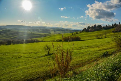 Scenic view of green landscape against sky on sunny day