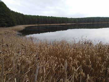 Scenic view of lake against sky