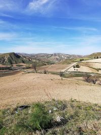 Scenic view of field against sky