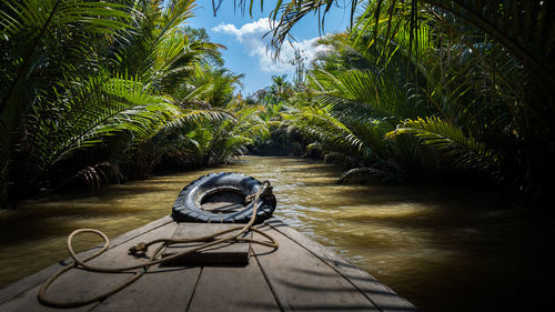 Cropped image of boat on river amidst trees