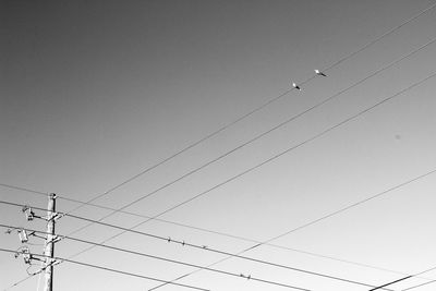 Low angle view of birds flying against clear sky