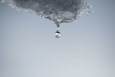 Close-up of water drops against clear sky