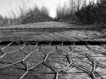 Close-up of bare trees on field against sky