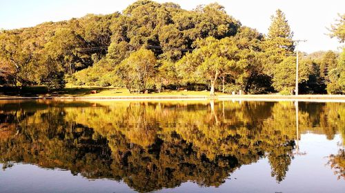 Reflection of trees in lake against sky