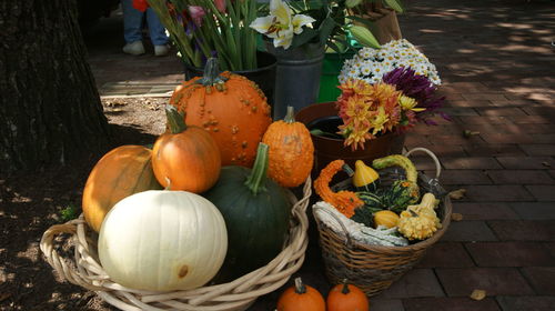 Close-up of food on wooden wall