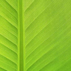 Full frame shot of abstract pattern