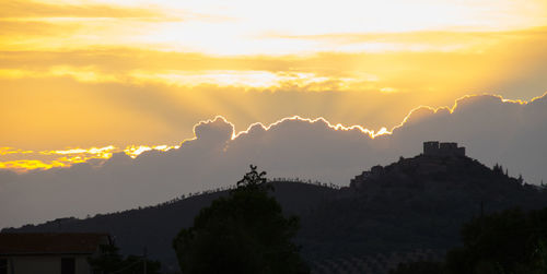 Silhouette trees against sky during sunset