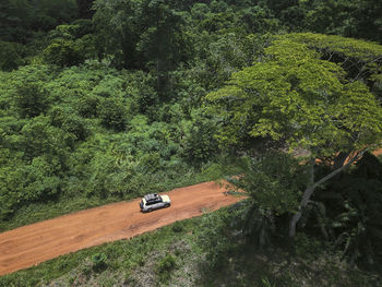 Ivory coast, korhogo, aerial view of 4x4 car driving along dirt road cutting through green jungle