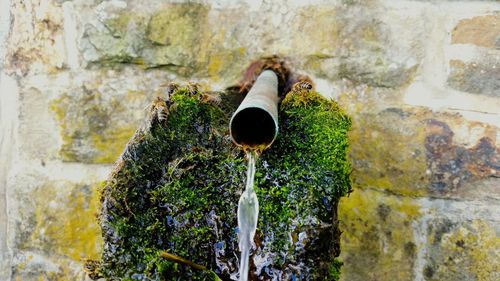 Close-up of water fountain