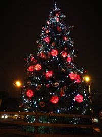 Illuminated christmas tree at night