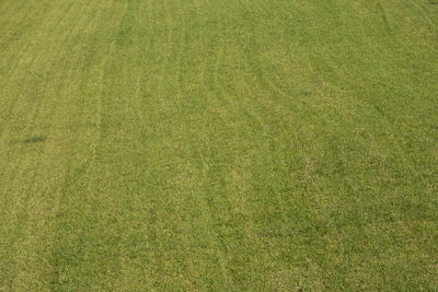 Full frame shot of green field