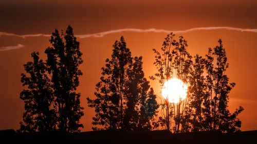 Silhouette trees on field against orange sky