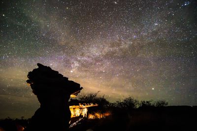 Low angle view of silhouette trees against sky at night