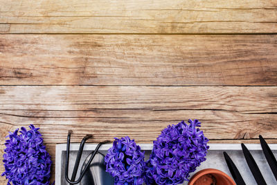 Directly above shot of purple flowering plants on wooden table