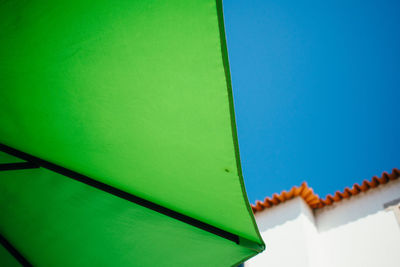 Close-up of green leaves