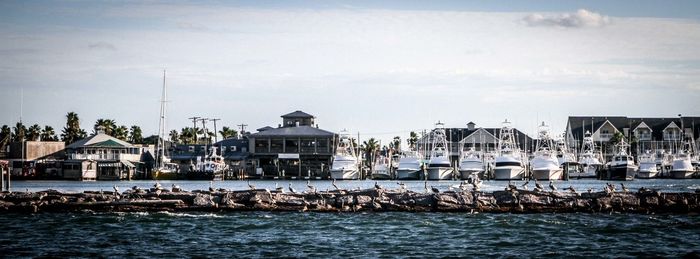 Panoramic shot of boats moored in harbor against sky