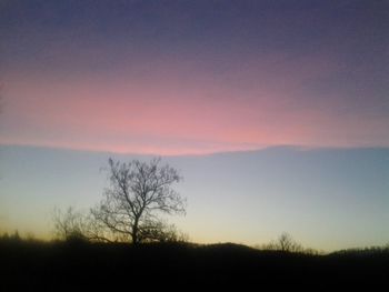 Silhouette of trees at sunset