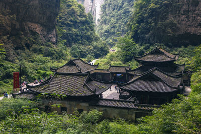 View of trees and houses in forest