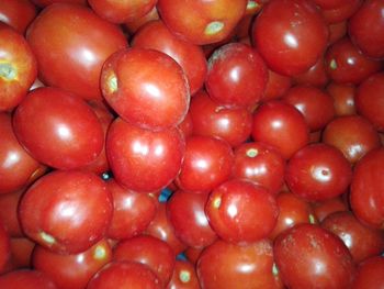 Full frame shot of tomatoes