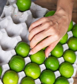 High angle view of hand holding vegetables