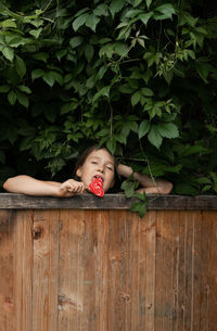 Portrait of a girl lying on wood