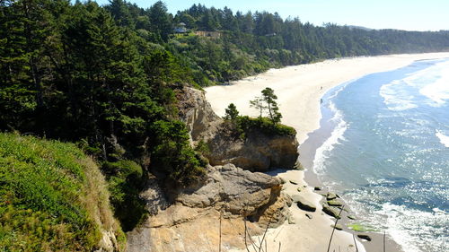 High angle view of trees by sea