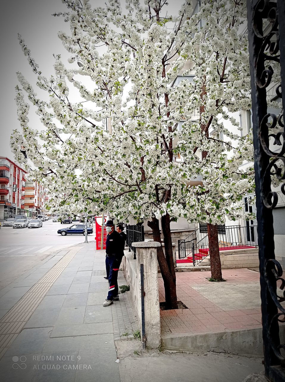 REAR VIEW OF WOMAN WALKING ON FOOTPATH AGAINST PLANTS IN CITY