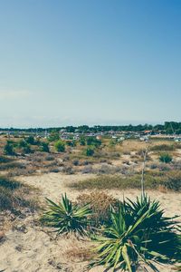 Scenic view of desert against blue sky