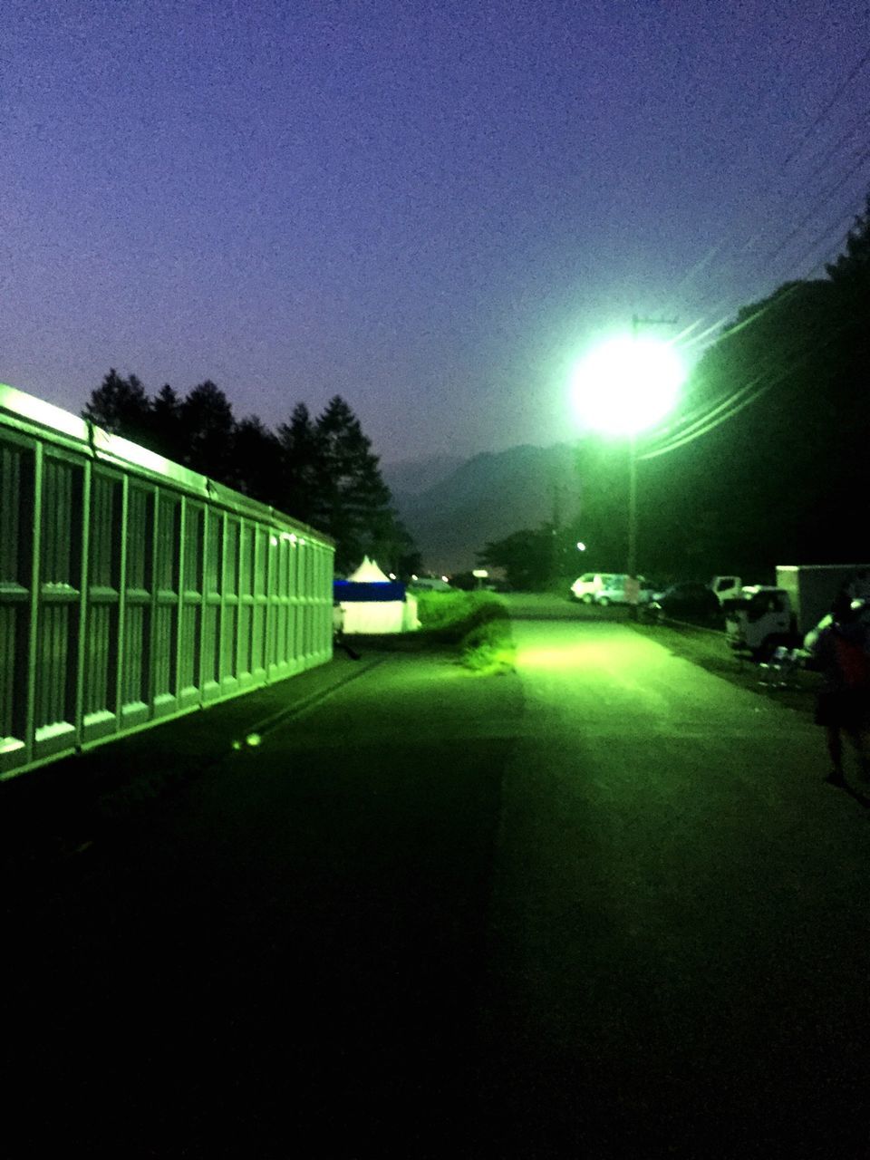 tree, street light, illuminated, clear sky, the way forward, transportation, built structure, building exterior, night, lighting equipment, architecture, street, road, car, diminishing perspective, empty, sky, sunlight, city, green color