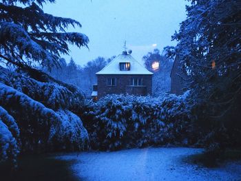 Trees on snowcapped field against houses during winter