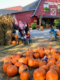 View of pumpkins for sale at market