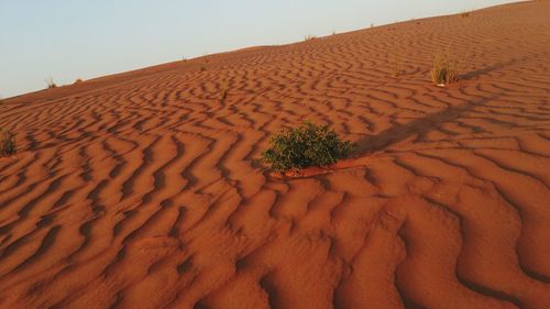 Footprints on sand dune