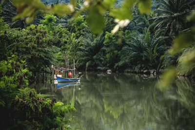 Scenic view of lake by trees