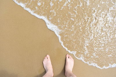 Low section of person at beach