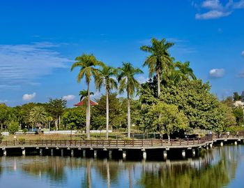 Palm trees by lake against sky