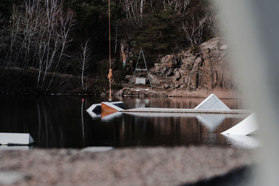 View of bird on lake against trees